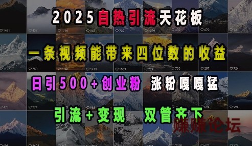 1-566.jpg