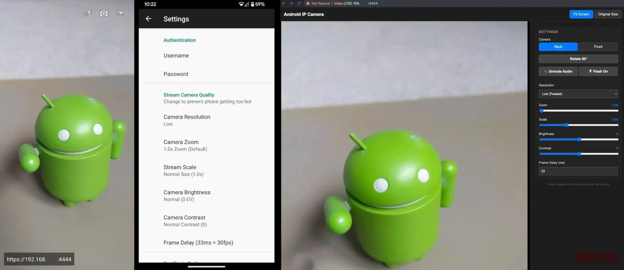 231.jpg